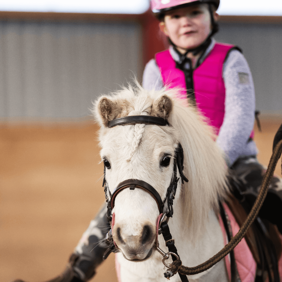 Flicka i rosa ridhjälm och väst på vit ponny