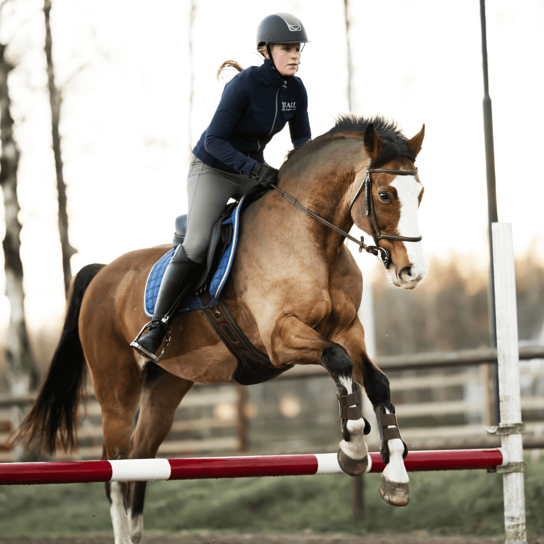 Ulrika Stenson hoppar med hästen Balance